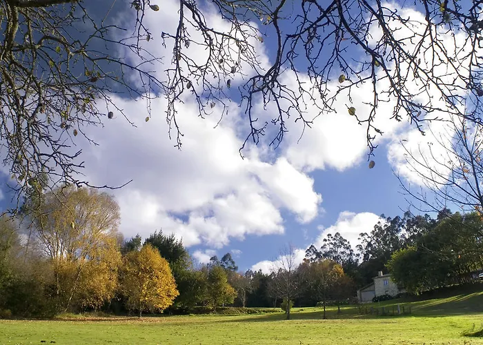 乡村民宿 安德拉德堡乡村民宿